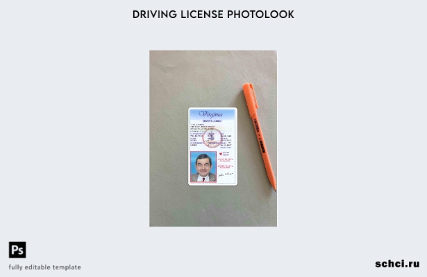 цифровая загрузка водительских прав США, штат Вирджиния, под шаблоном Photolook 